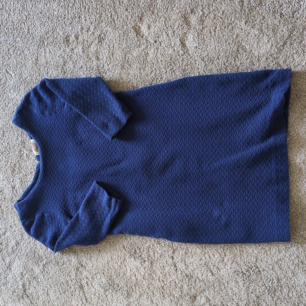 Ganni Anthropologie blue dress size medium